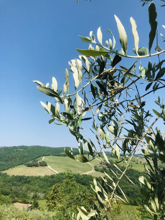 Mea Casa Toscana Appartement Castellina in Chianti