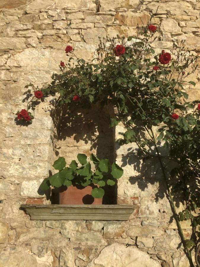 Mea Casa Toscana Castellina in Chianti