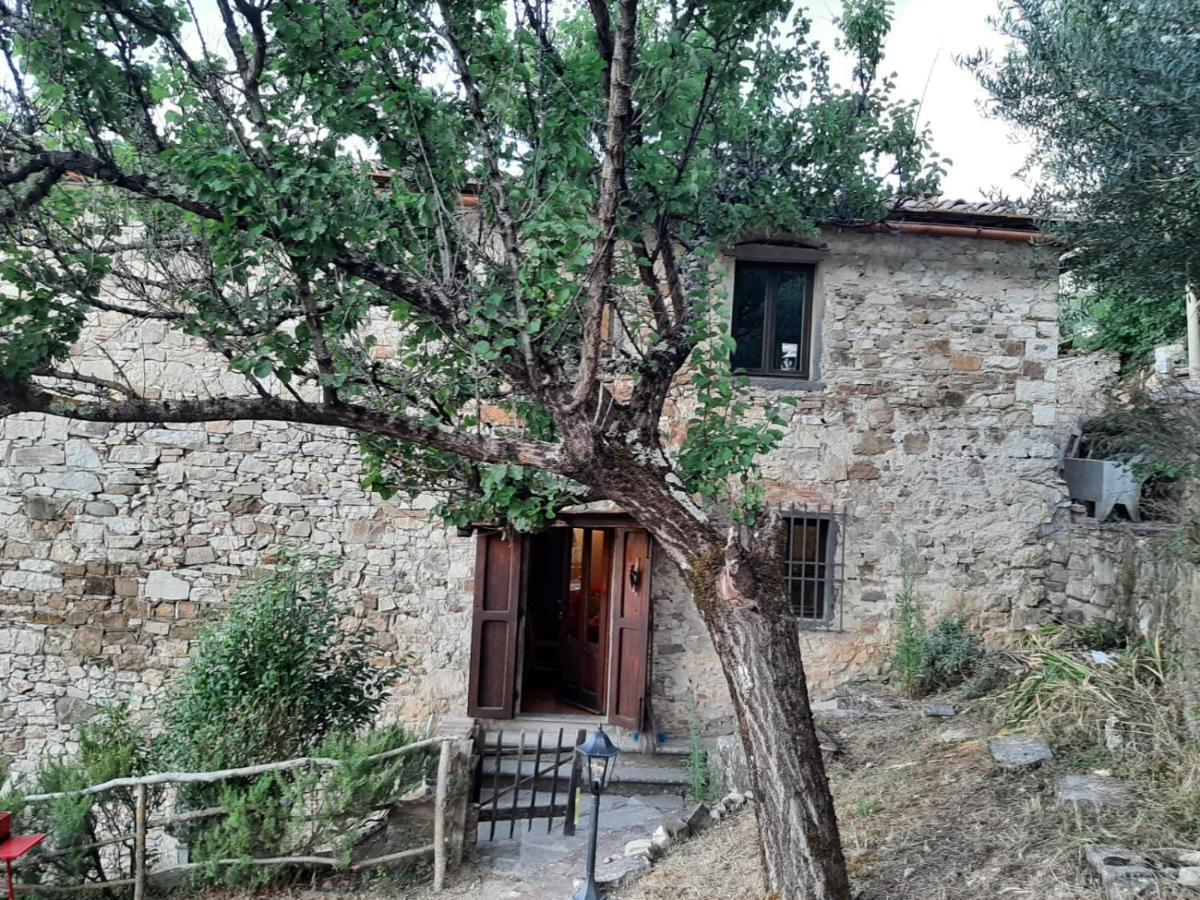 Appartement Mea Casa Toscana Castellina in Chianti