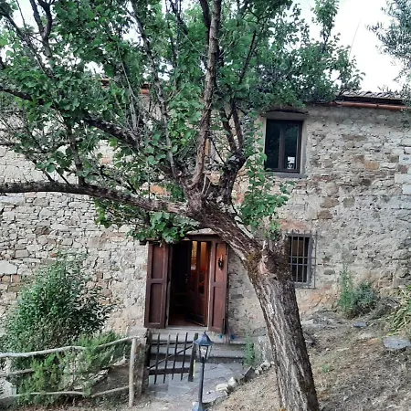 Mea Casa Toscana Castellina in Chianti Exterior photo