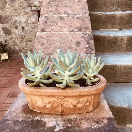 Mea Casa Toscana Castellina in Chianti Exterior photo