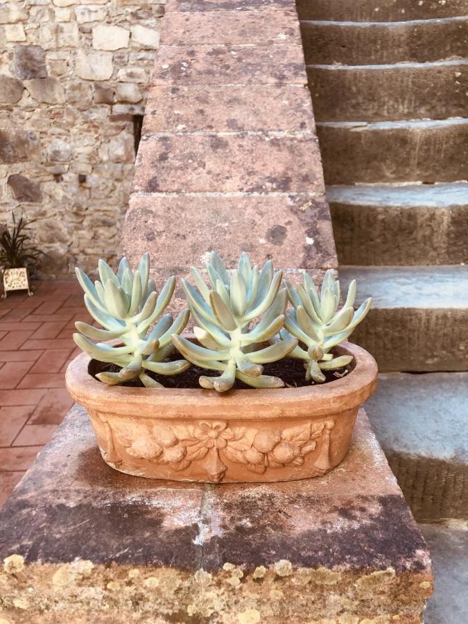 Mea Casa Toscana *